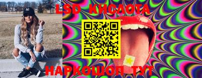 крисы Боровичи