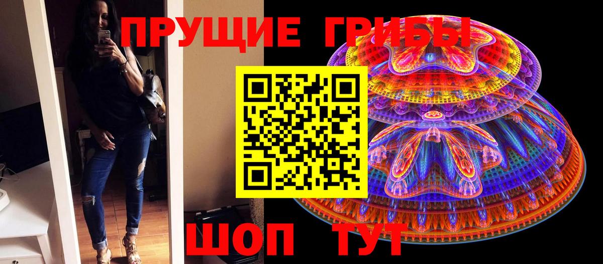 Галлюциногенные грибы MAGIC MUSHROOMS  закладки  Новокубанск  Псилоцибиновые грибы прущие грибы  Вход с VPN 