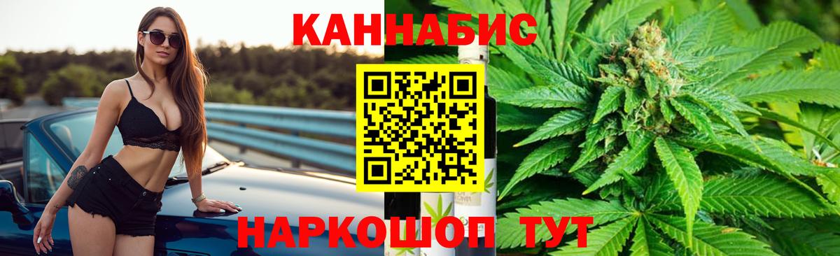 Каннабис гибрид Новокубанск